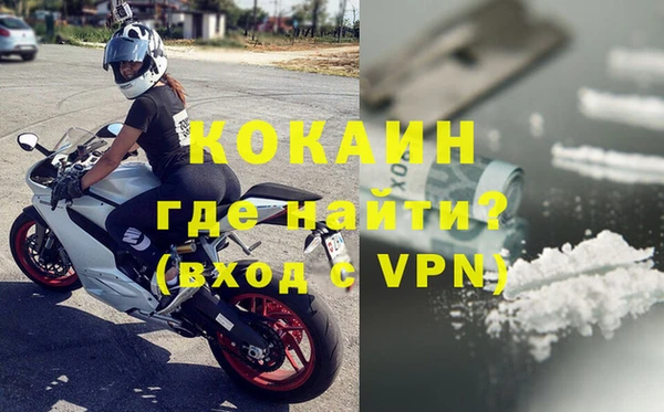 СК Гатчина