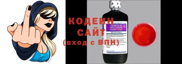 ешки Галич