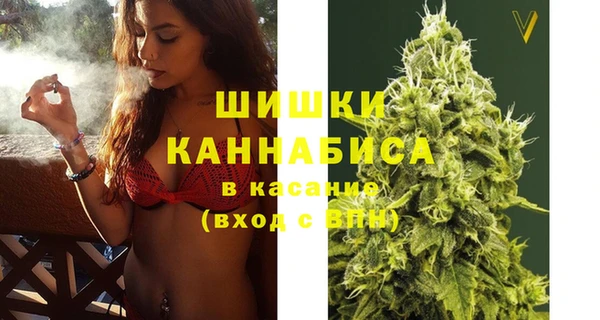 СК Гатчина