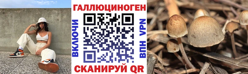 купить наркотики сайты Кирс Галлюциногенные грибы прущие грибы